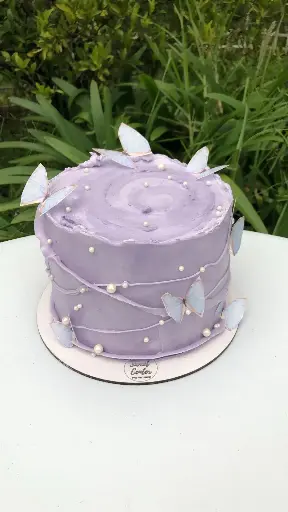 Birthday Cake Butterfly